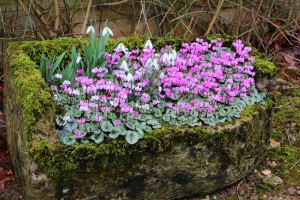 A charming spring planter