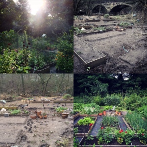 Ed and Jill's allotment in Hebden Bridge last summer and after the recent floods